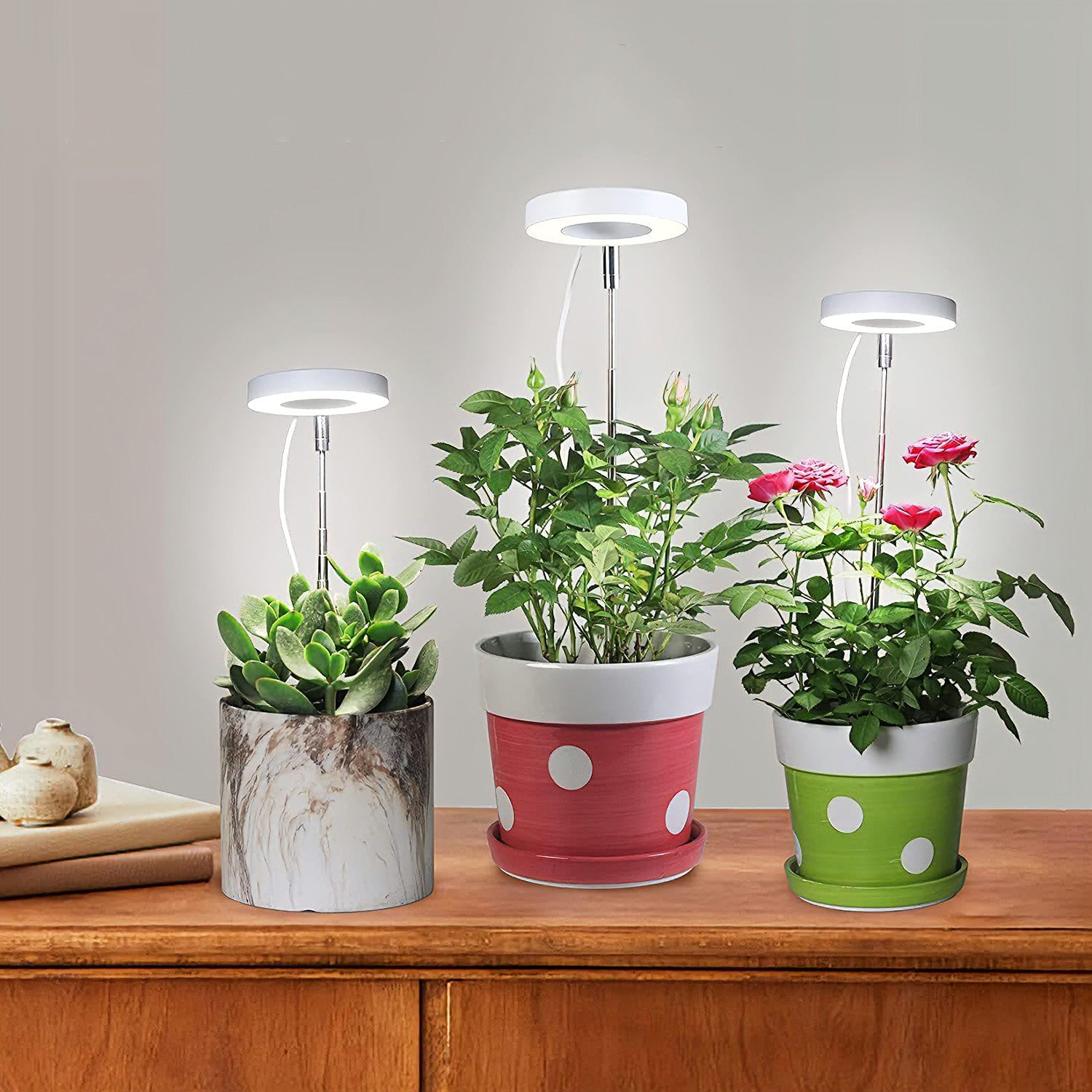 3.5 Inch LED Angel Ring Full Spectrum Grow Light with Timer and Dimming